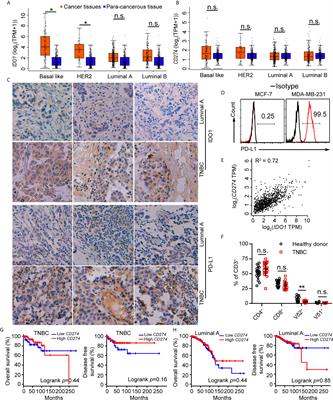 IDO Inhibition Facilitates Antitumor Immunity of Vγ9Vδ2 T Cells in Triple-Negative Breast Cancer